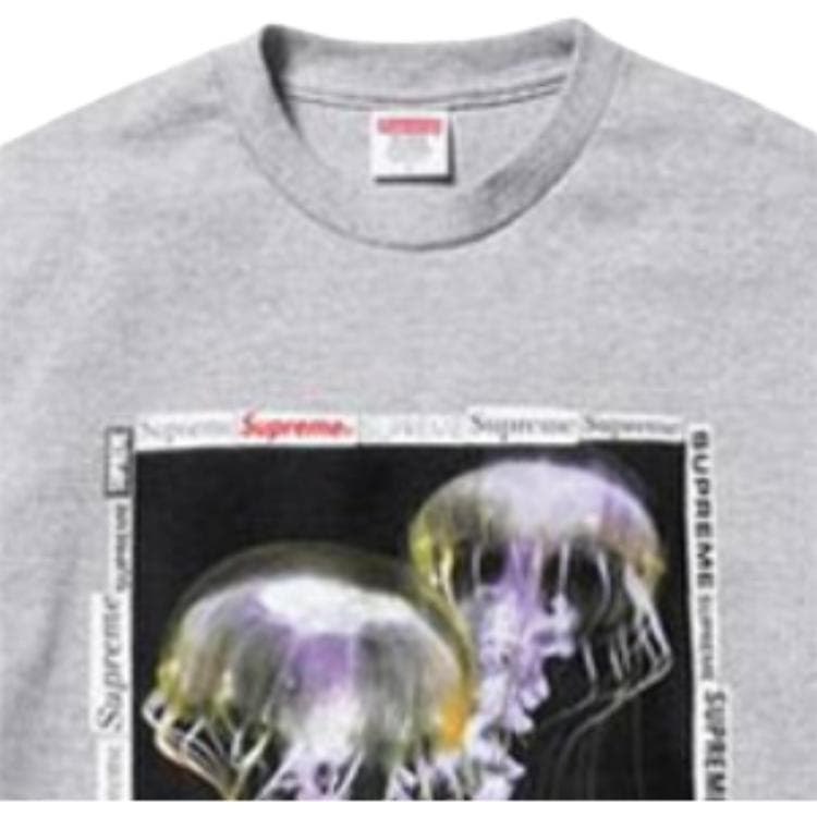 Футболка Supreme SS18 Jellyfish Tee Heather Grey - изображение 5