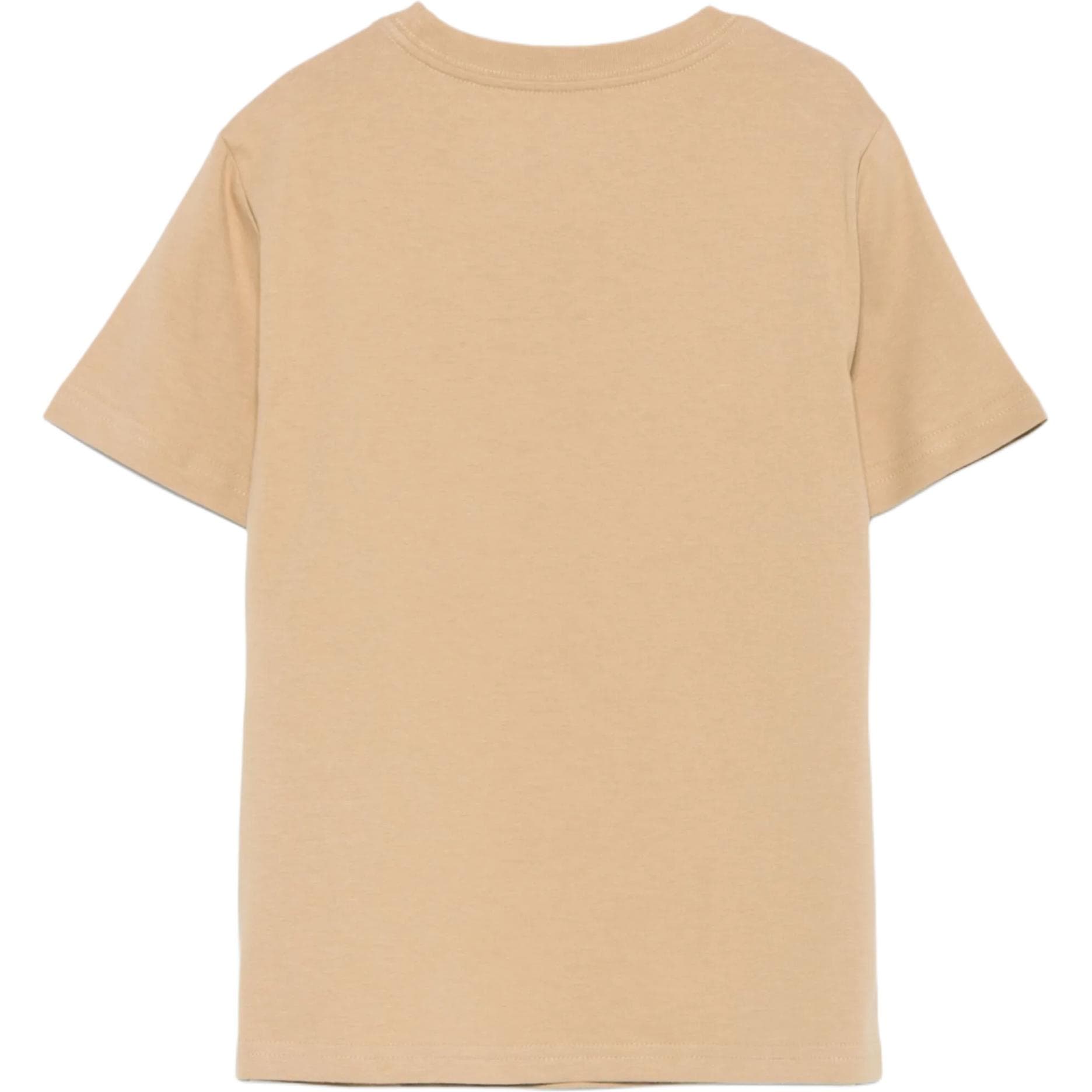 Футболка Polo Ralph Lauren Polo Pony Хаки Детские рубашки - изображение 2