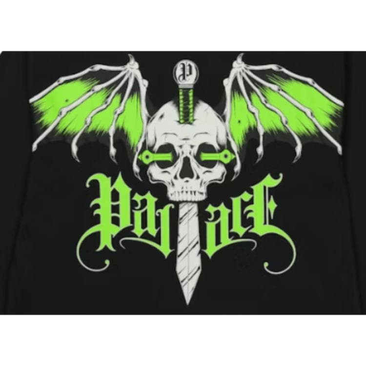 Кофта PALACE FW25 WINGSPAN LONGSLEEVE T - изображение 4