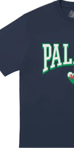 Футболка PALACE FW24 SQUAD T-SHIRT T - изображение 5