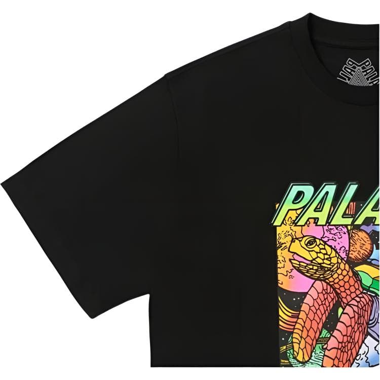 Футболка PALACE FW24 DMT T-SHIRT Футболка с круглым вырезом и принтом в виде черепахи и букв, унисекс, черный - изображение 3