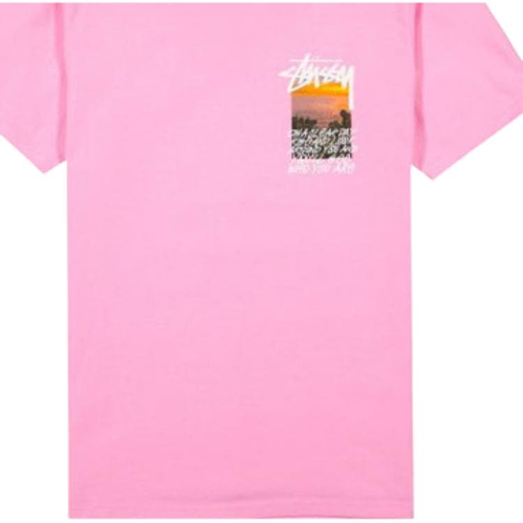 Футболка Stussy Clear Day Tee T - изображение 5