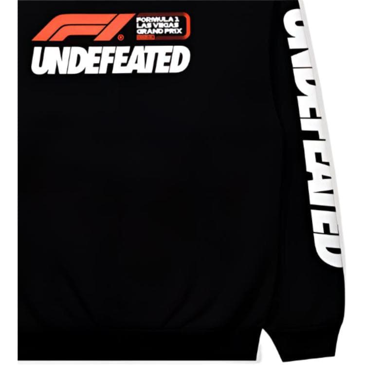 Худи UNDEFEATED x F1 LVGP F1 LVGP Logo - изображение 6