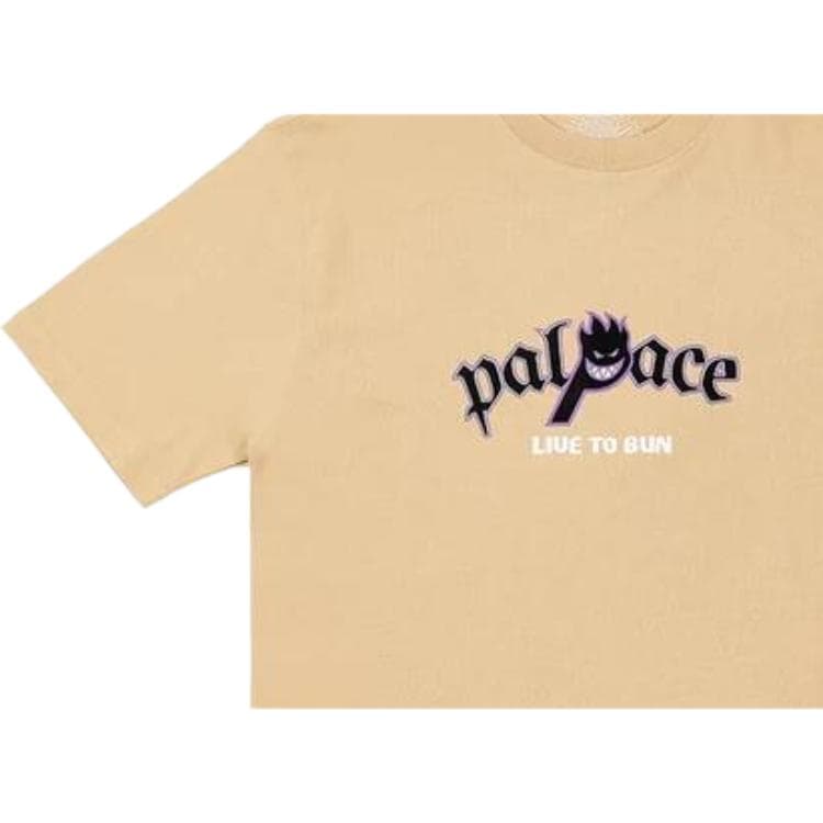Футболка PALACE Palace x Spitfire SS23 T - изображение 4