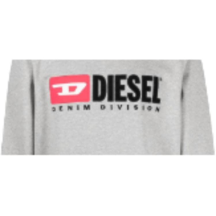 Худи DIESEL SS22 Logo - изображение 4