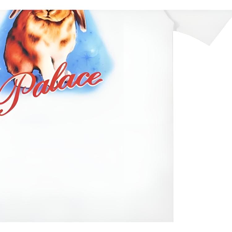 Футболка PALACE SS24 BUNNY T-SHIRT T - изображение 3