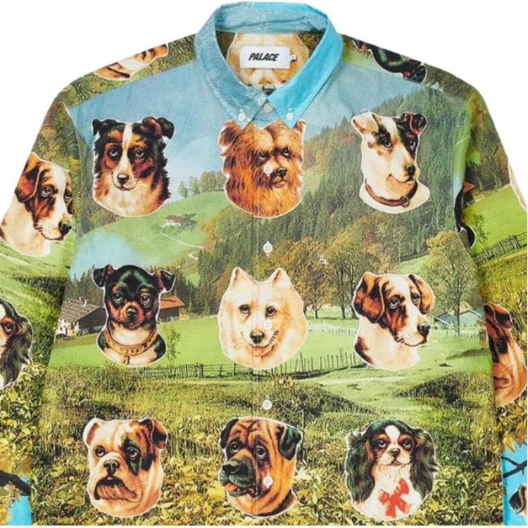 Рубашка PALACE FW22 Place Payne Shirt Multi - изображение 7