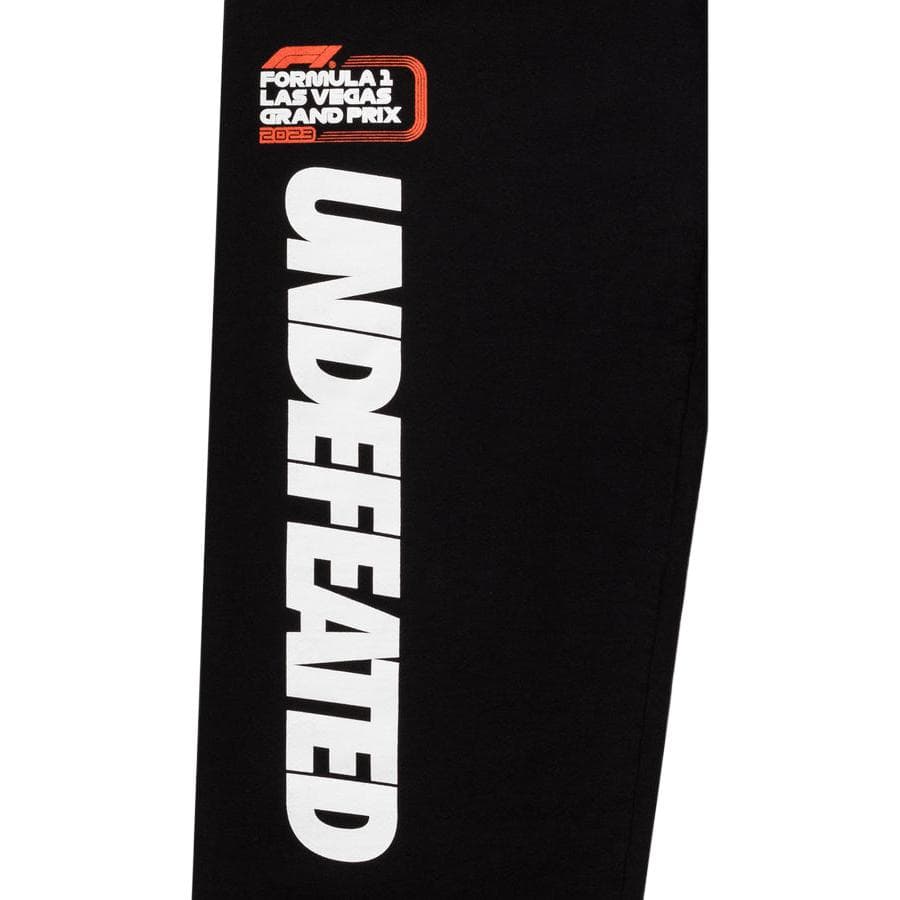 Штаны UNDEFEATED x F1 LVGP F1 LVGP logo - изображение 4