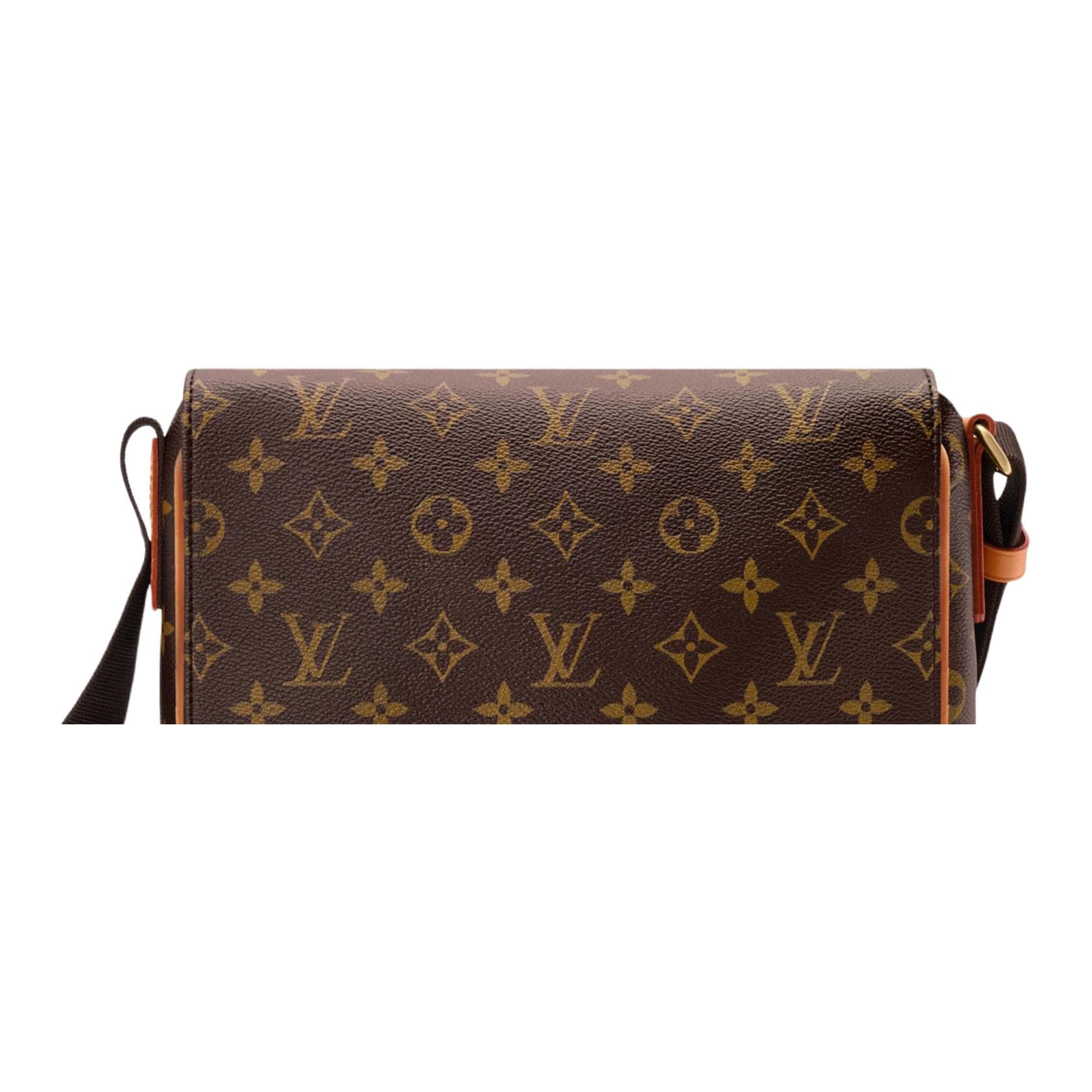 Сумка через плечо LOUIS VUITTON BASTILLE Monogram Archive - изображение 5