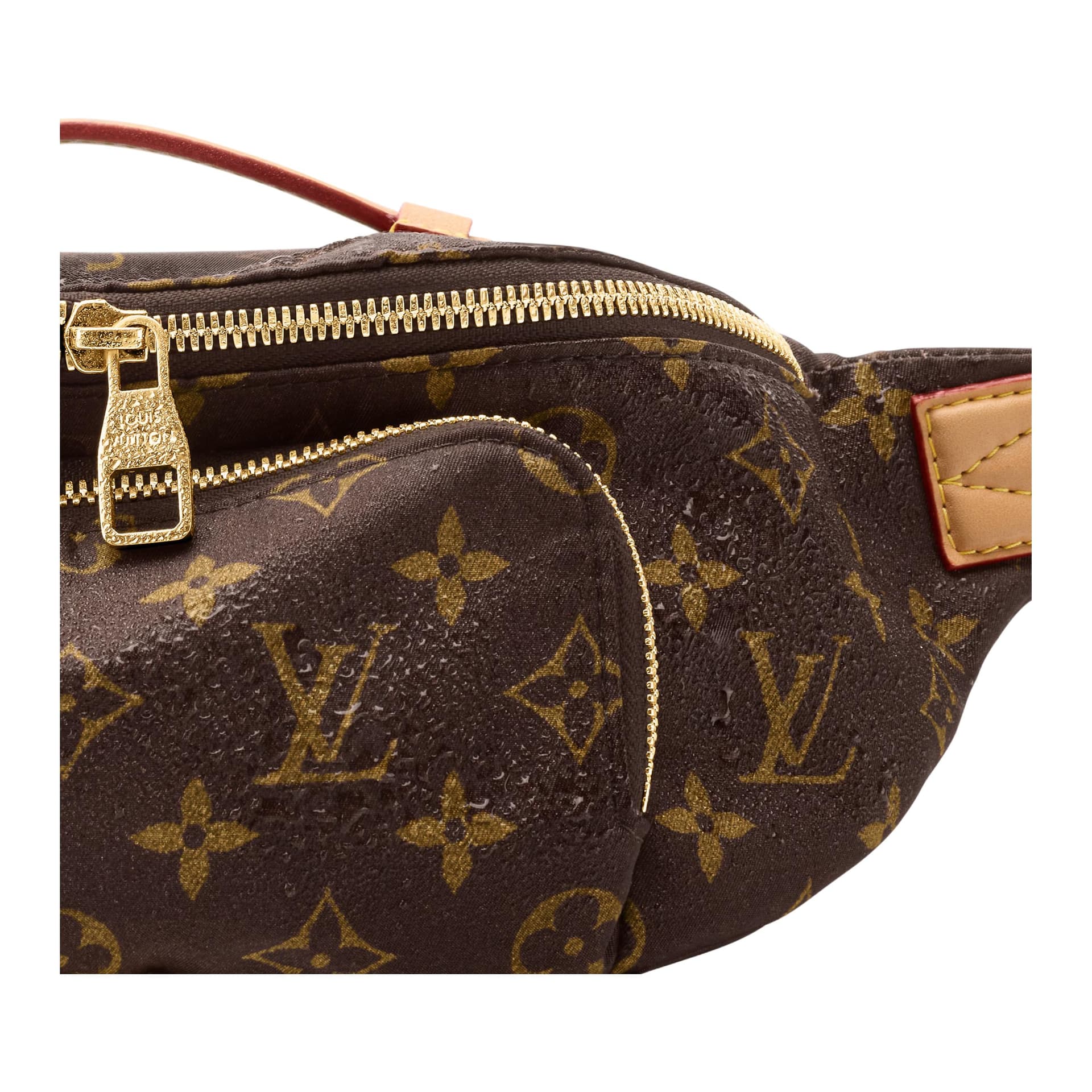 Поясная сумка LOUIS VUITTON RUSH - изображение 5