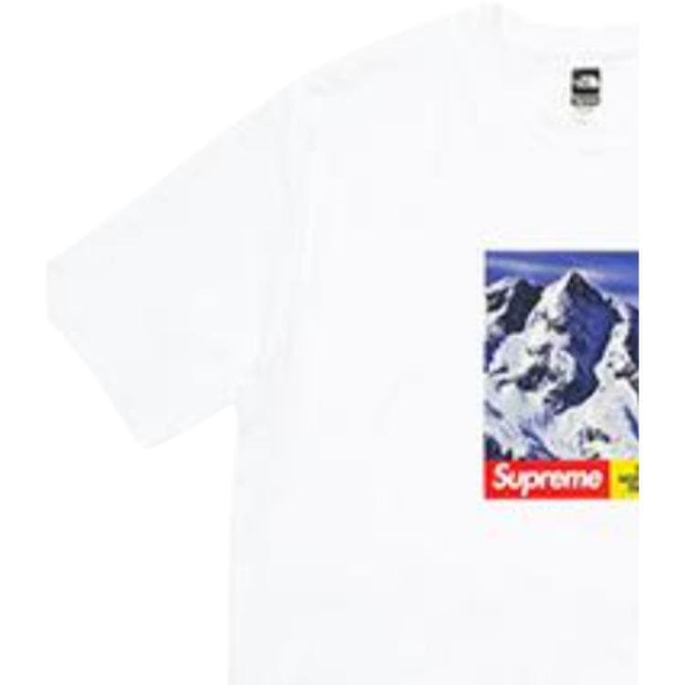 Футболка Supreme x The North Face FW17 Snow Mountain Tee White - изображение 4