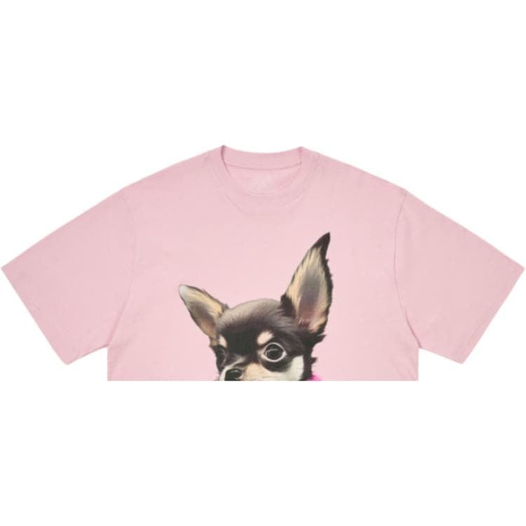 Футболка Дворцовый SS25 YAPPY T Рубашка T Рубашка Унисекс - изображение 3