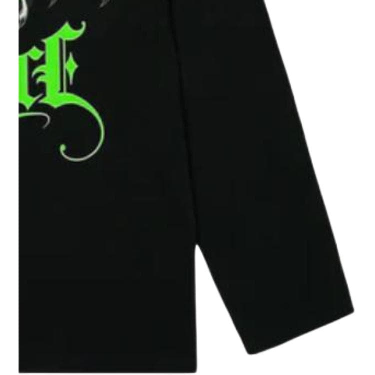 Кофта PALACE FW25 WINGSPAN LONGSLEEVE T - изображение 5