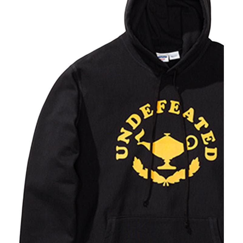 Худи UNDEFEATED FW22 - изображение 4