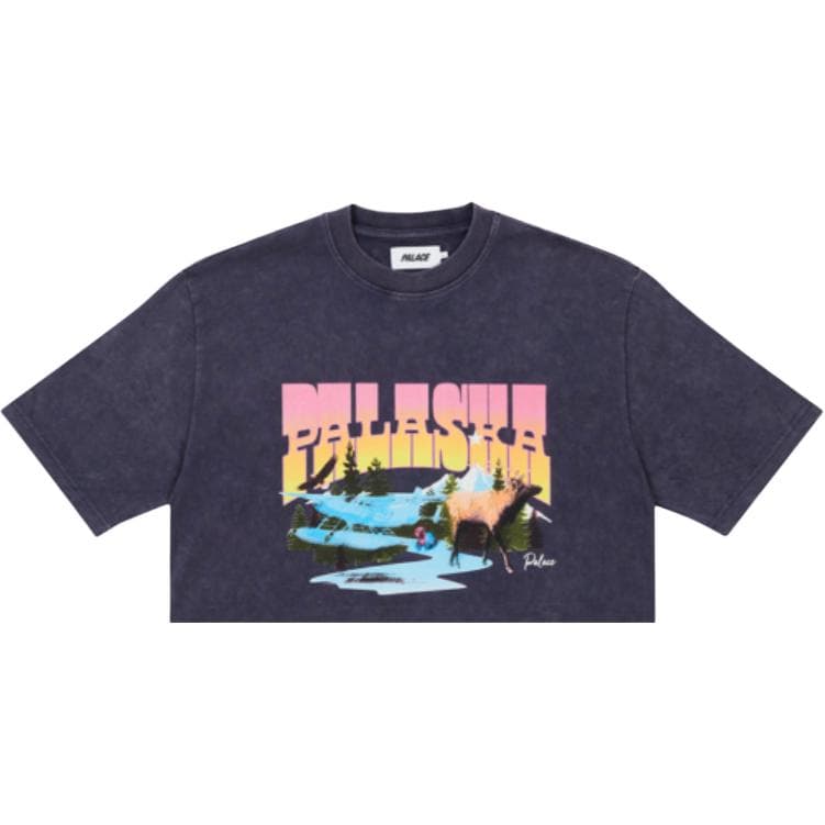 Футболка PALACE SS22 Palaska Dye T-shirt Purple T - изображение 3