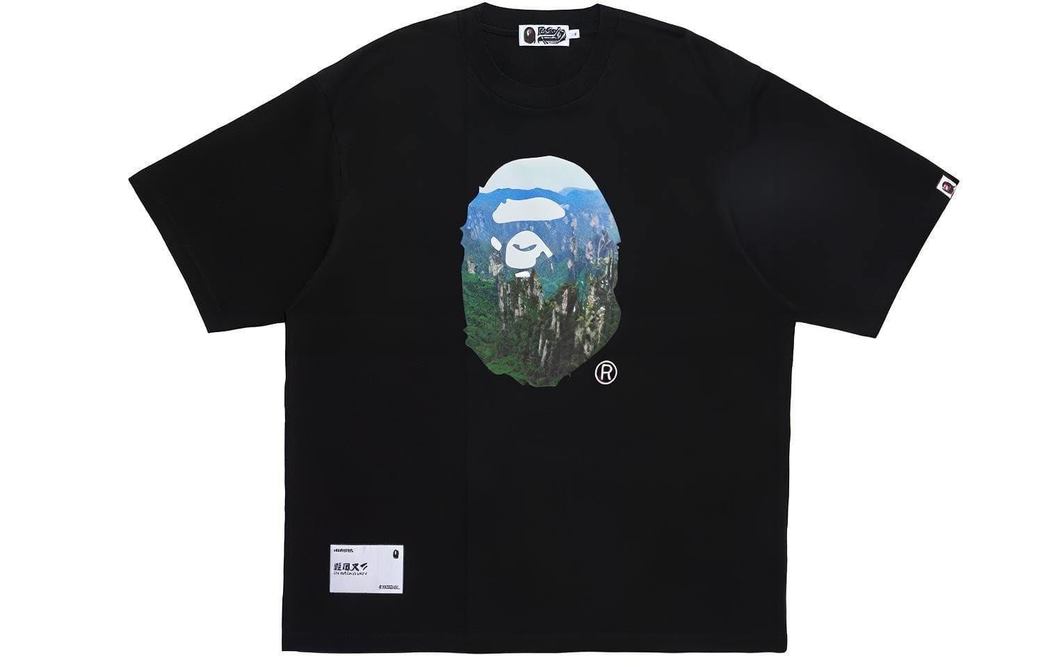 Футболка A BATHING APE FW23T - изображение 1