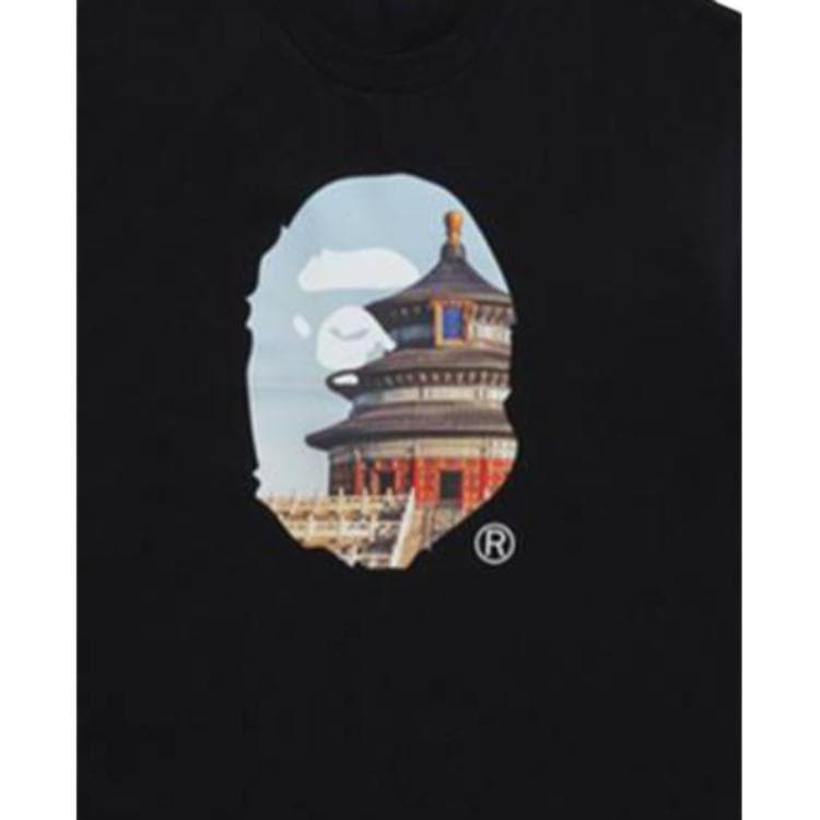 Футболка A BATHING APE FW23T - изображение 2