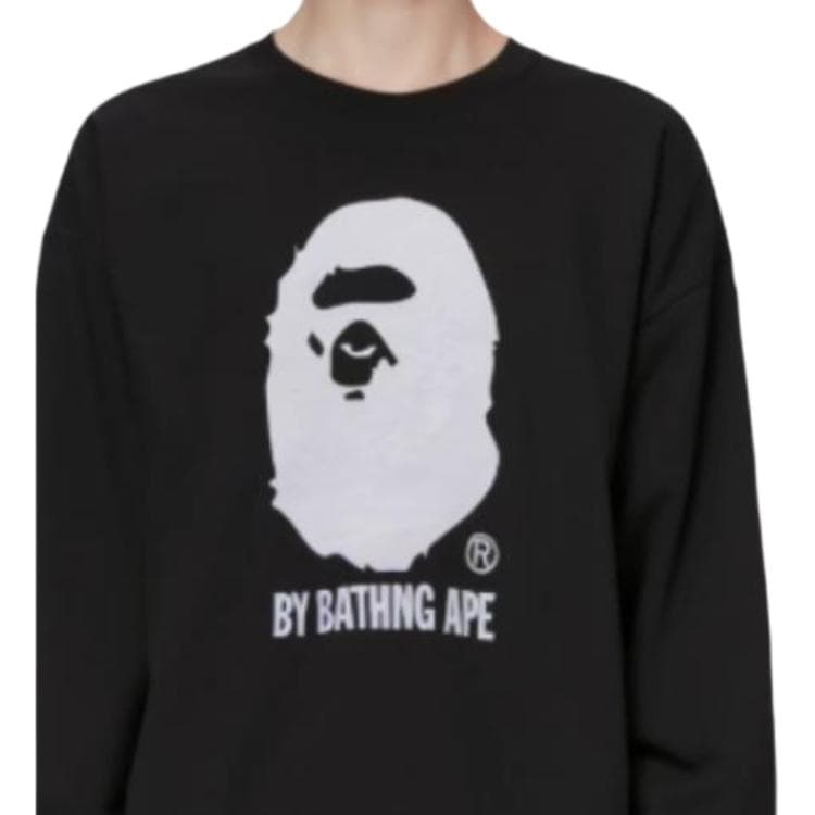 Худи BAPE FW23 - изображение 6