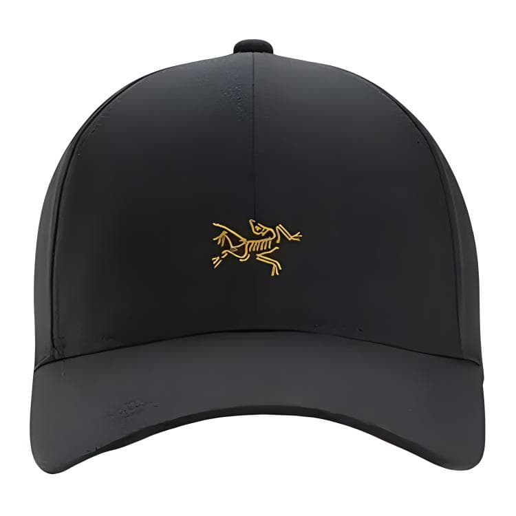 Кепка Arcteryx - изображение 1