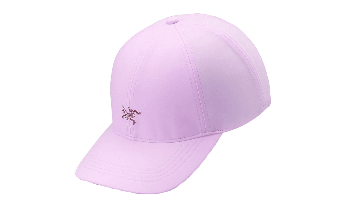 Кепка Arcteryx Logo - изображение 1
