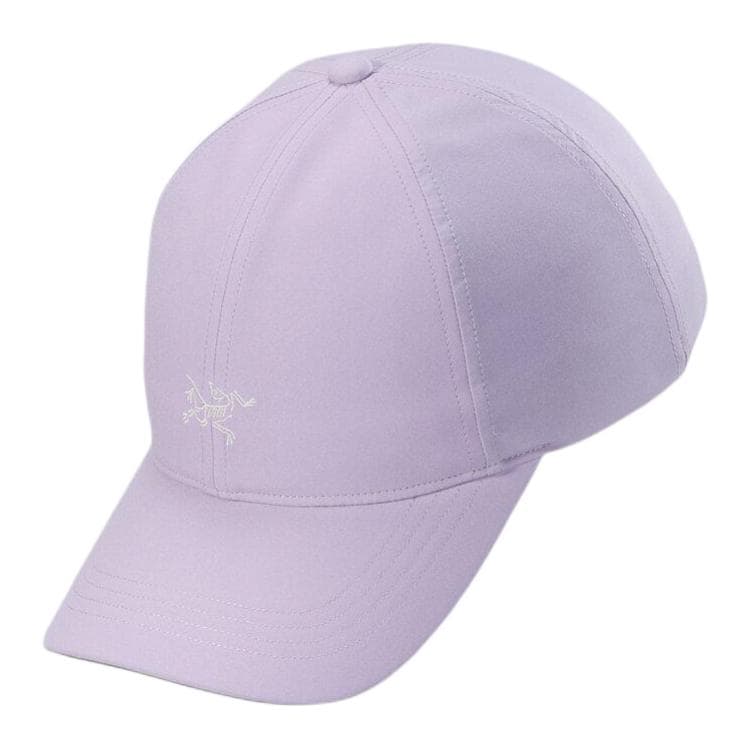 Кепка Arcteryx Logo - изображение 1
