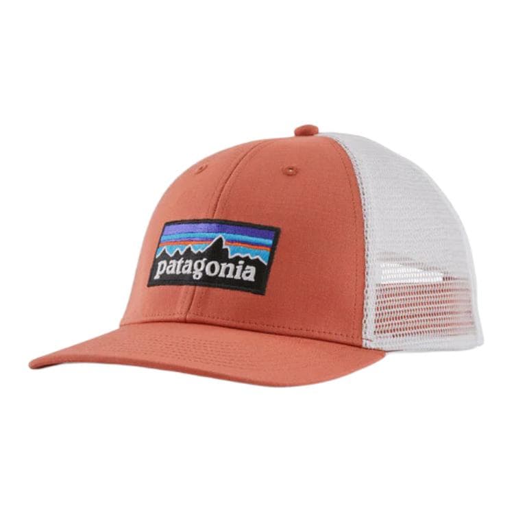 Кепка patagonia Logo - изображение 1