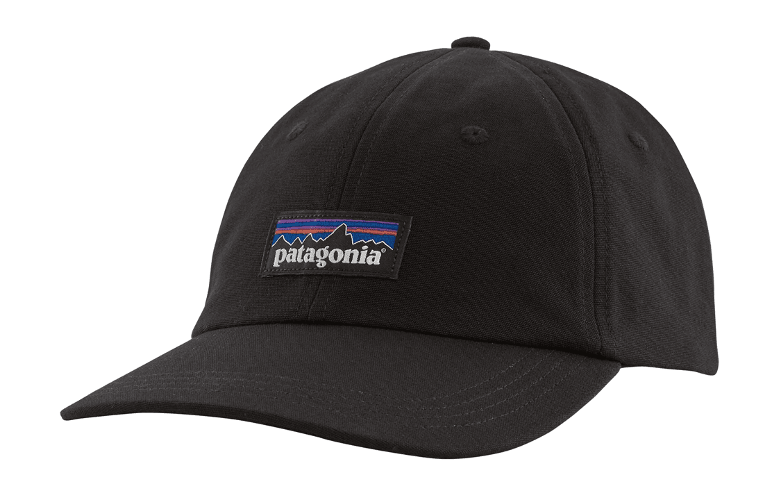Кепка patagonia Logo - изображение 1