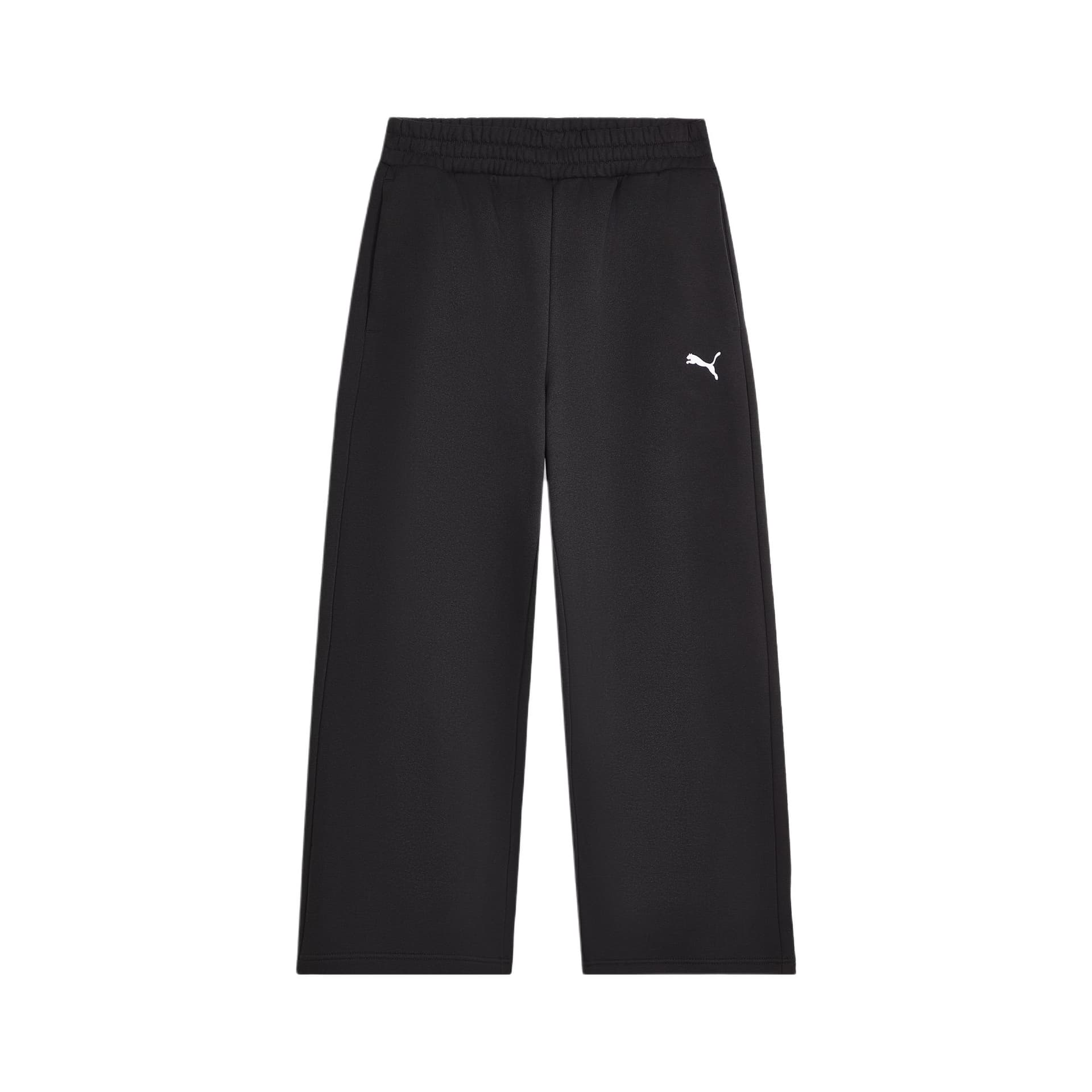 Штаны PUMA ESS REGULAR