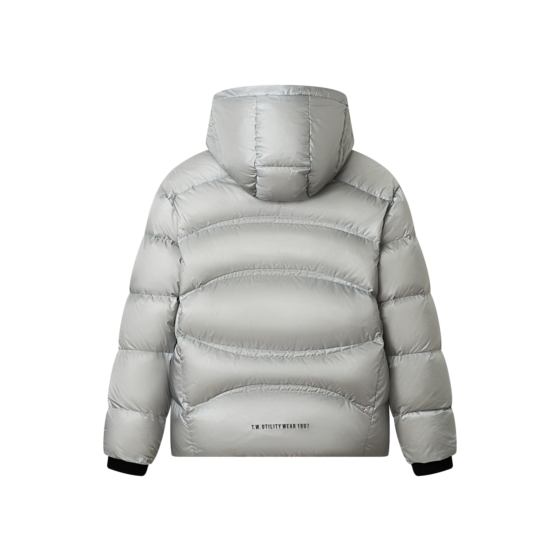 Зимняя куртка Teenie Weenie Men Light Warmth Collection Мужской Пуховики - изображение 2
