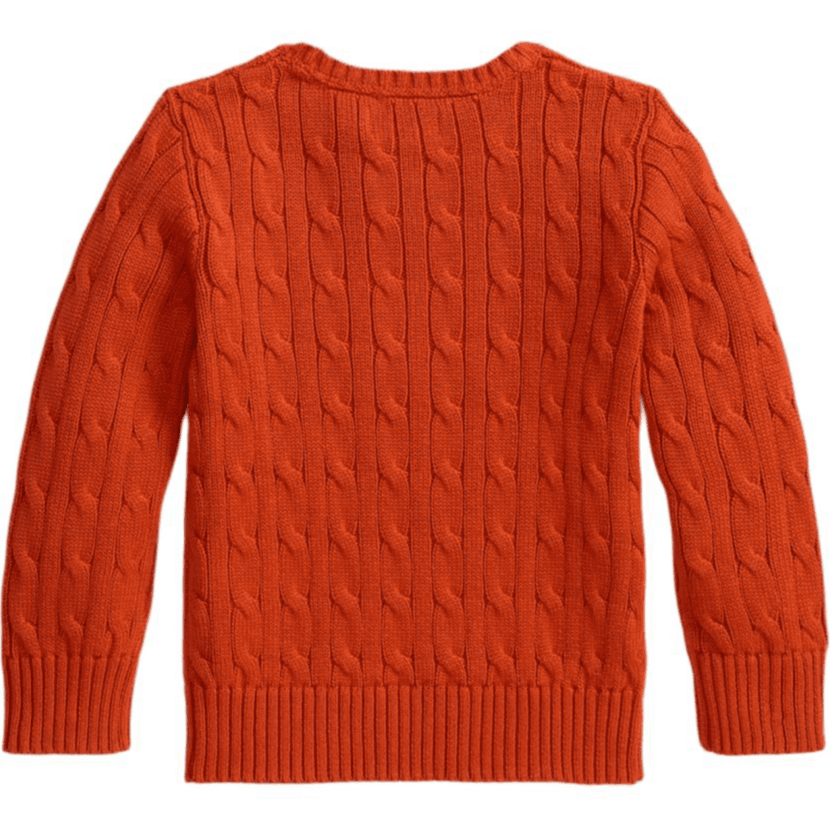 Polo Ralph Lauren Преппи Апельсин Kids Свитеры - изображение 2