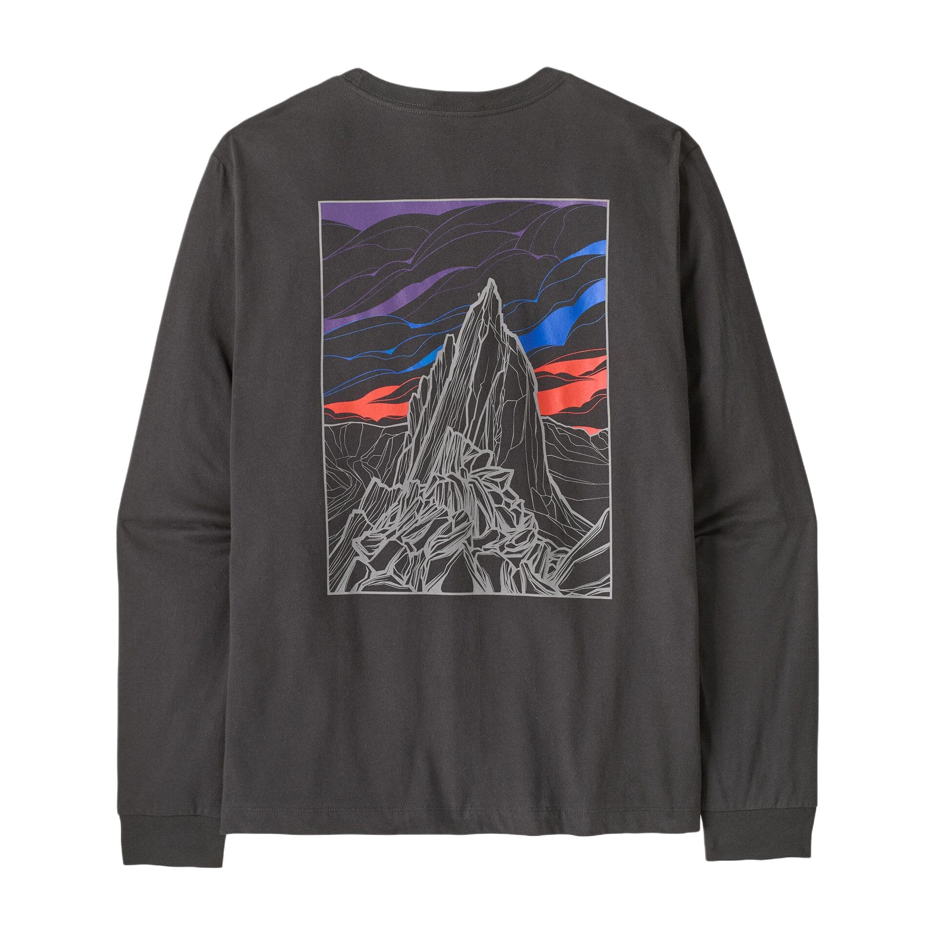 Футболка Patagonia Органические Мужские Футболки - изображение 4