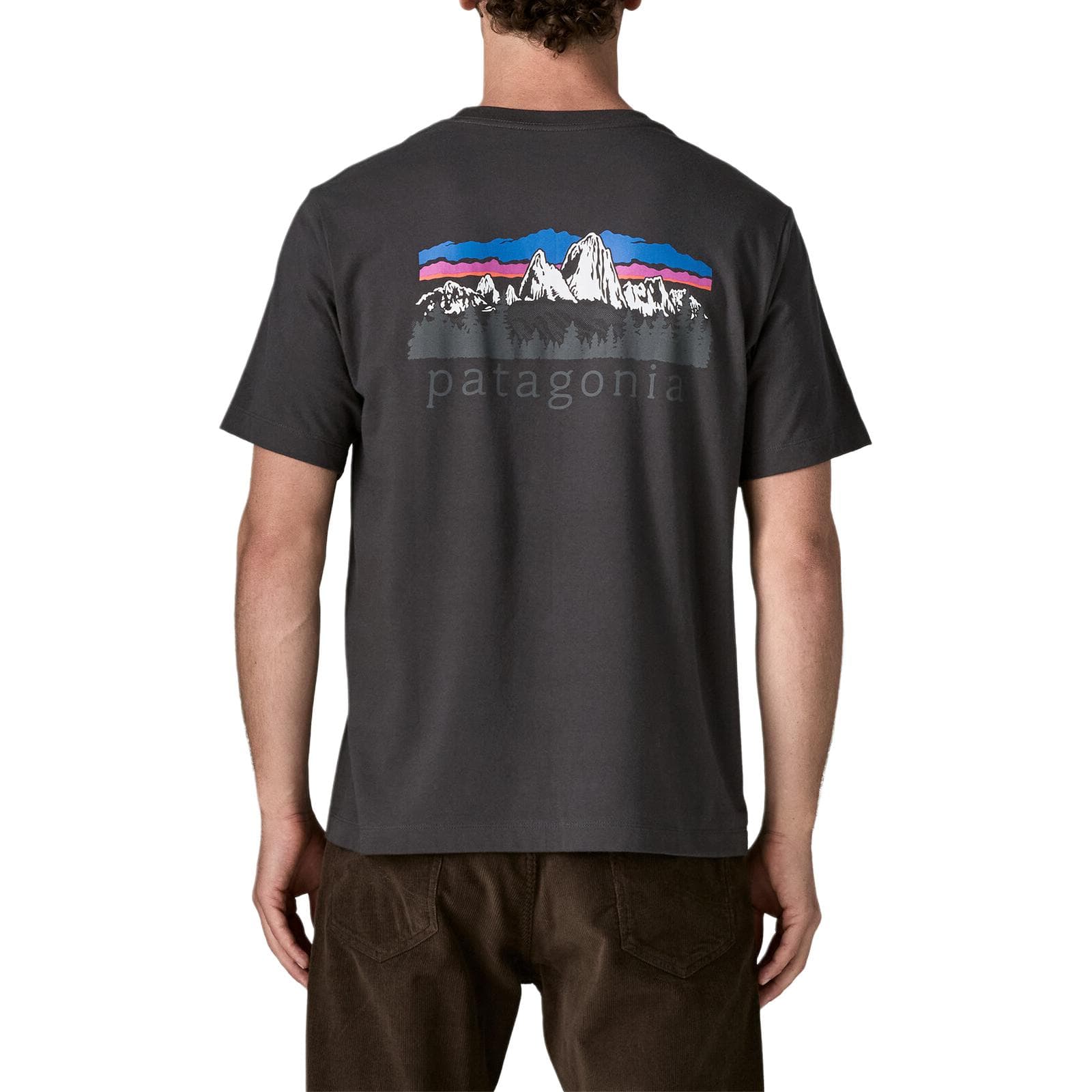 Футболка Patagonia Organic Мужская T-рубашка - изображение 1