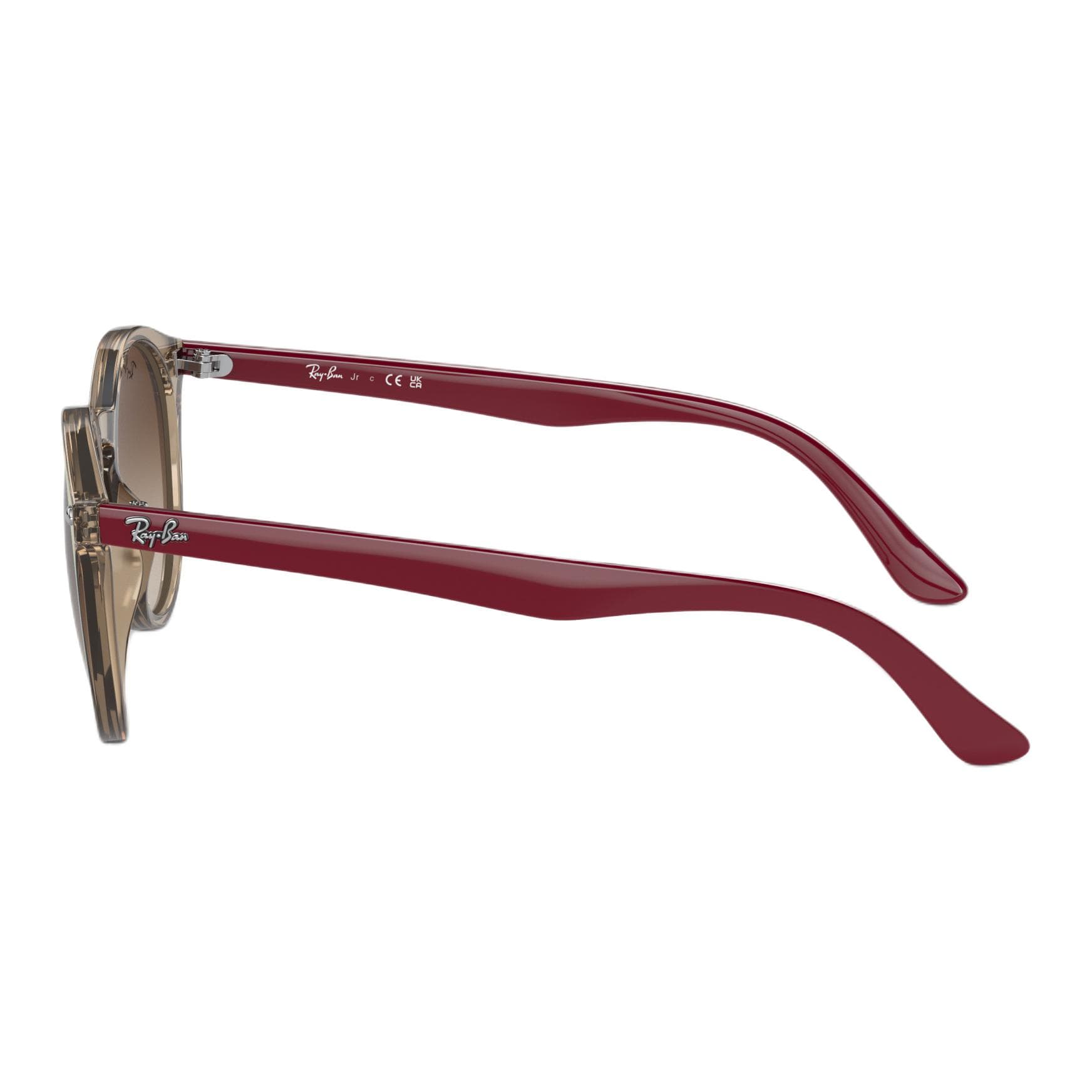 Солнцезащитные очки RayBan Logo - изображение 3