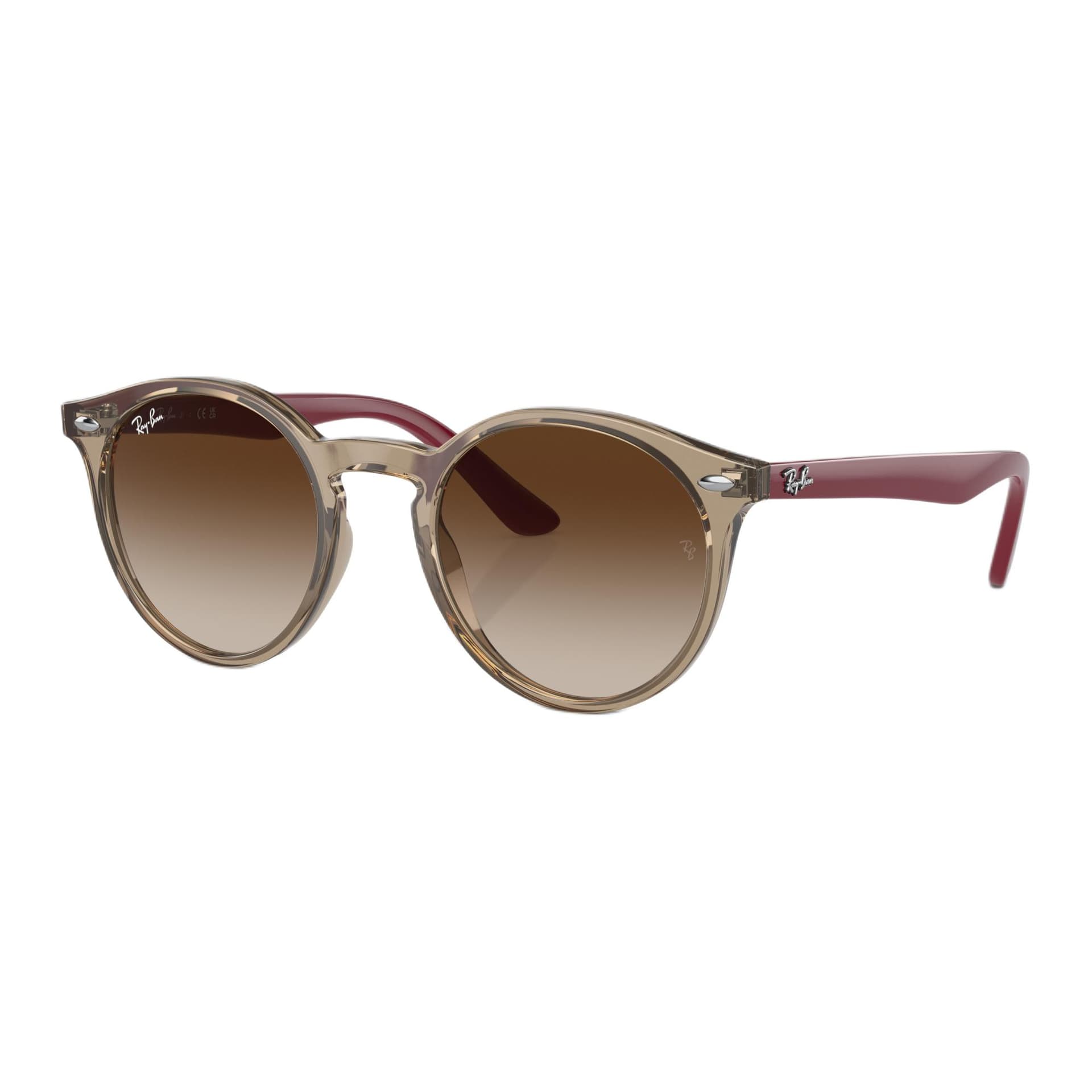 Солнцезащитные очки RayBan Logo - изображение 1