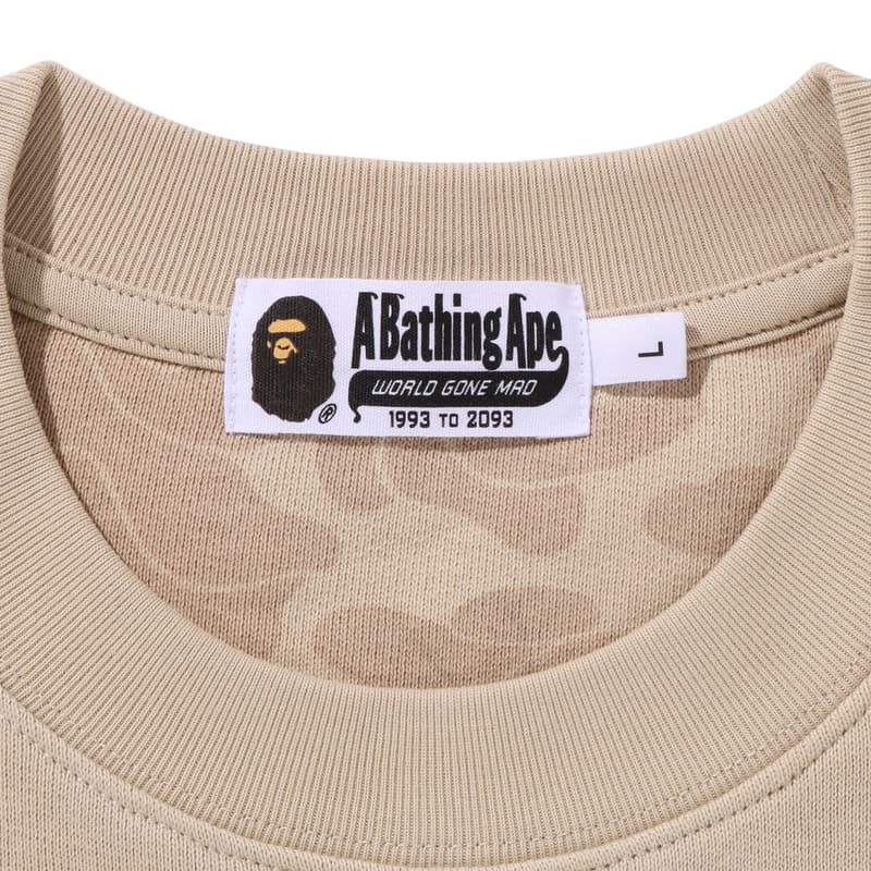 Худи A BATHING APE SS25 Толстовка Мужское - изображение 3