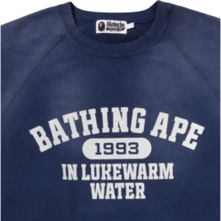 Худи BAPE SS26 - изображение 3