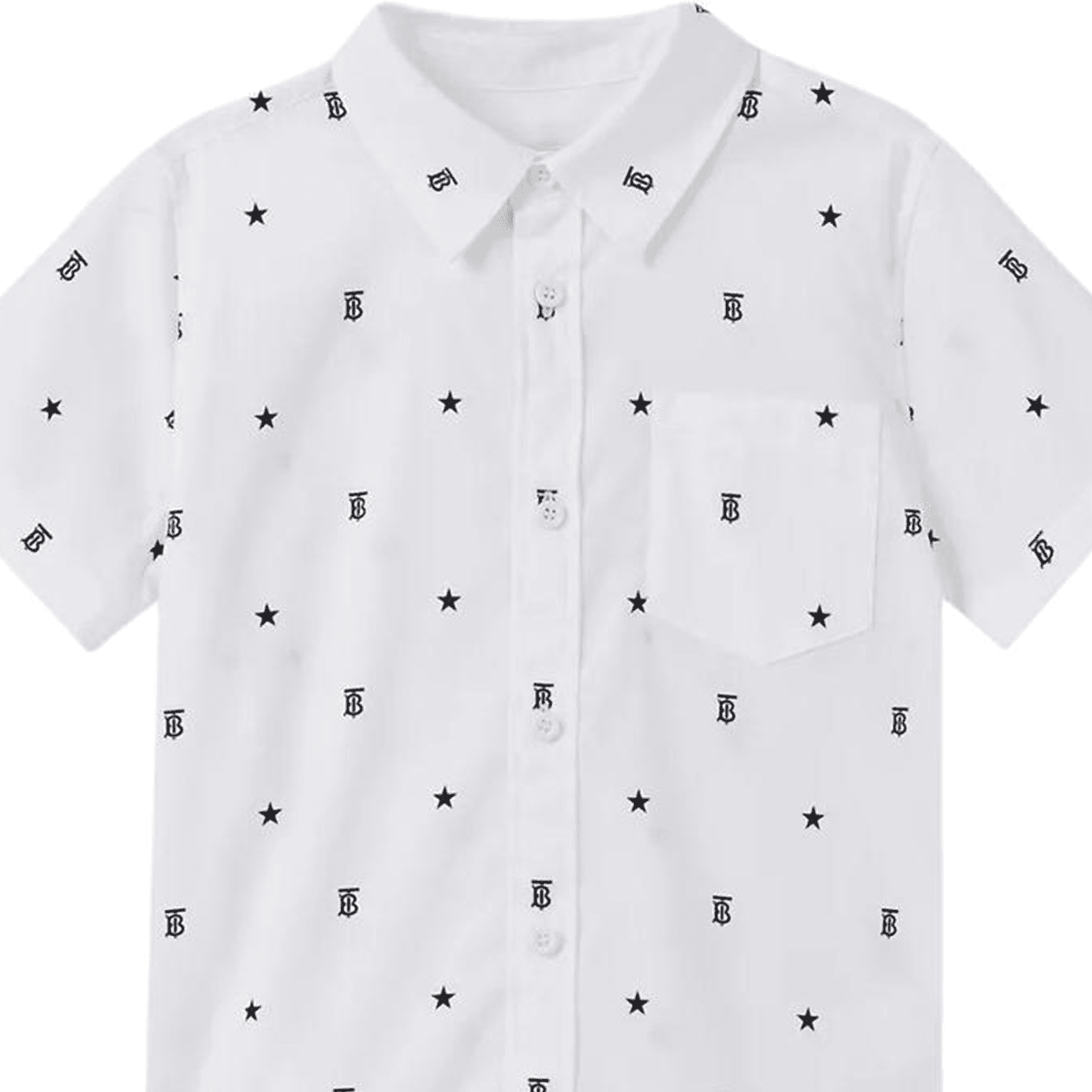 Burberry SS23 Logo - изображение 3