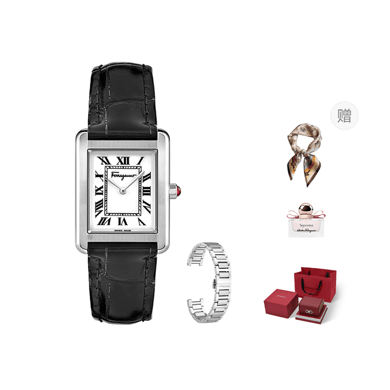 Механические часы FERRAGAMO FERRAGAMO PORTRAIT - изображение 1
