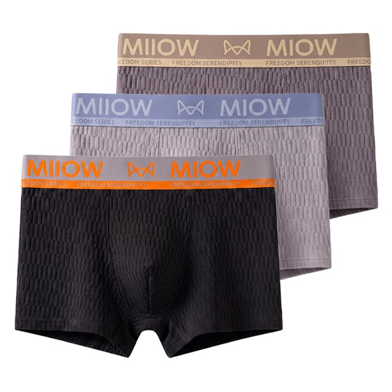 Трусы MIIOW Мужской Боксеры - изображение 1