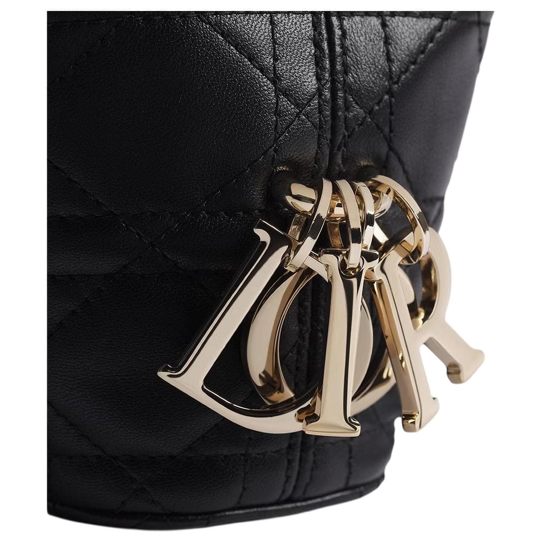 Сумка DIOR Toujours Hobo - изображение 5