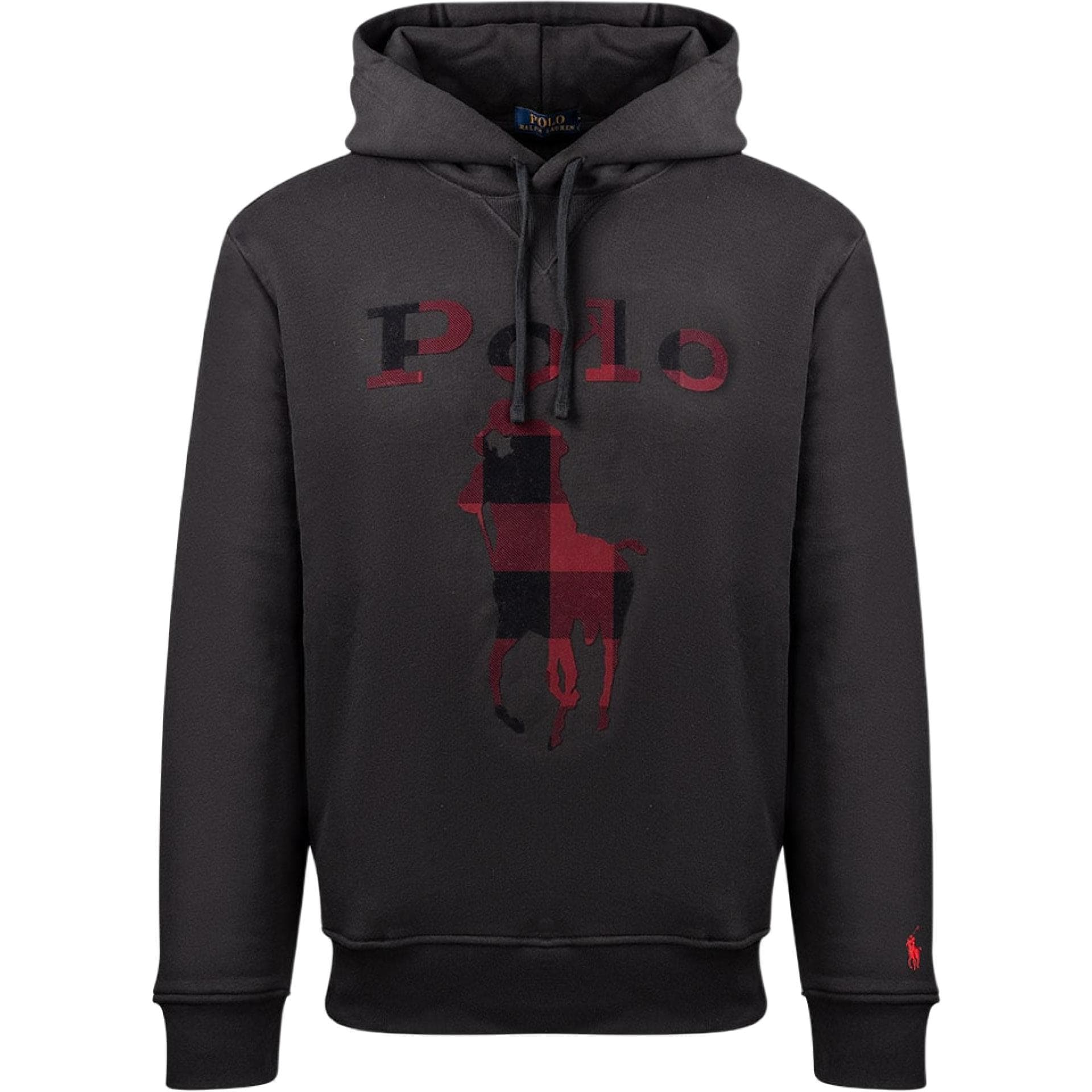 Худи Polo Ralph Lauren FW22 Logo - изображение 1