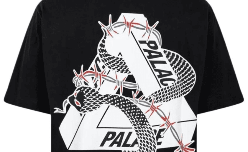 Футболка PALACE FW22 LogoT - изображение 4
