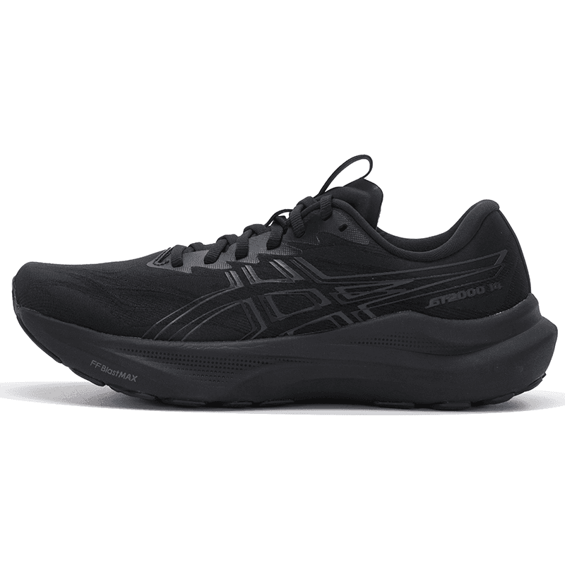 Кроссовки для бега ASICS GT-2000 14 2E