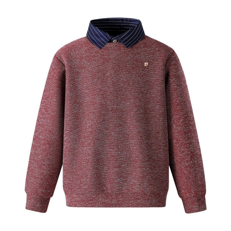 Худи PIERRE CARDIN Мужской Толстовки - изображение 1