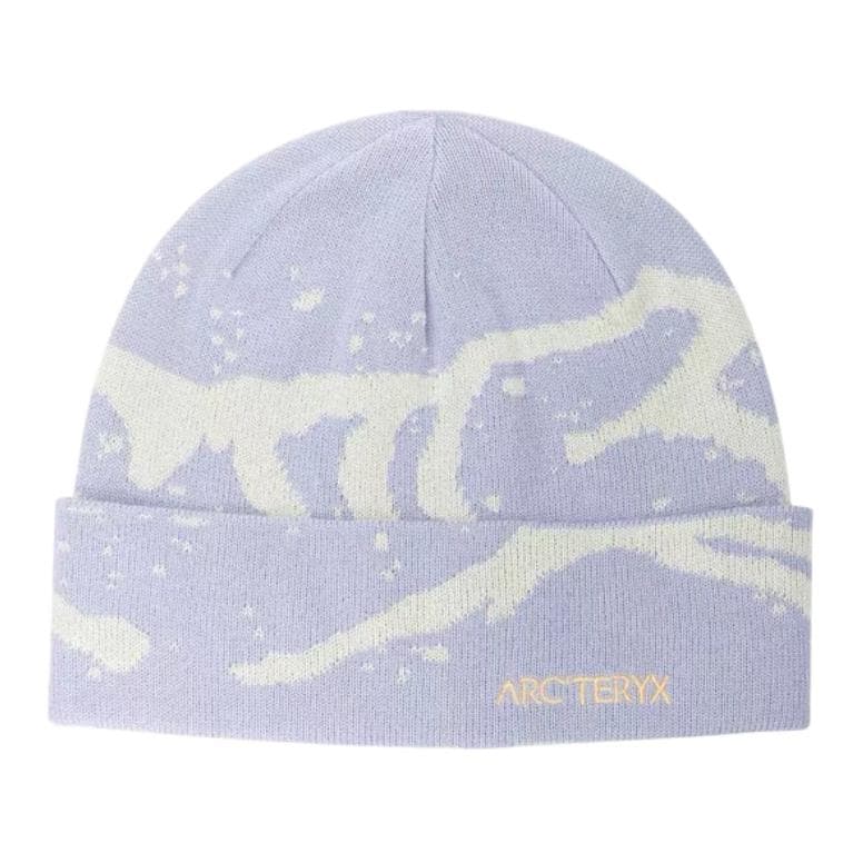 Шапка Arcteryx Полиэфирное волокно Шапки-бини Мужской - изображение 1