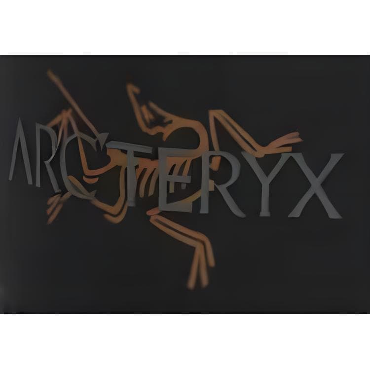 Кепка Arcteryx Бейсболка Мужской Черный Полиэстер - изображение 3