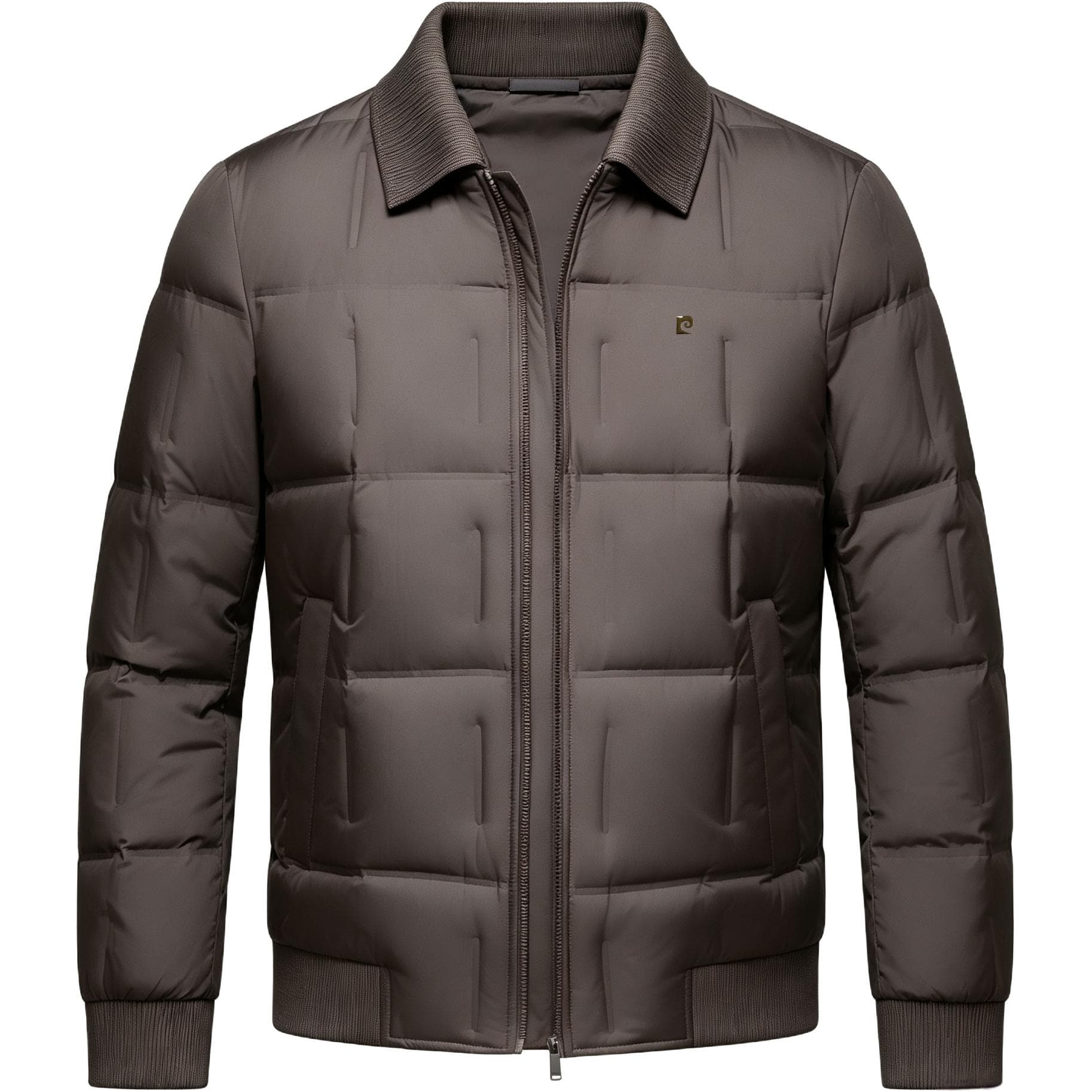 Зимняя куртка PIERRE CARDIN Мужской Пуховики - изображение 1