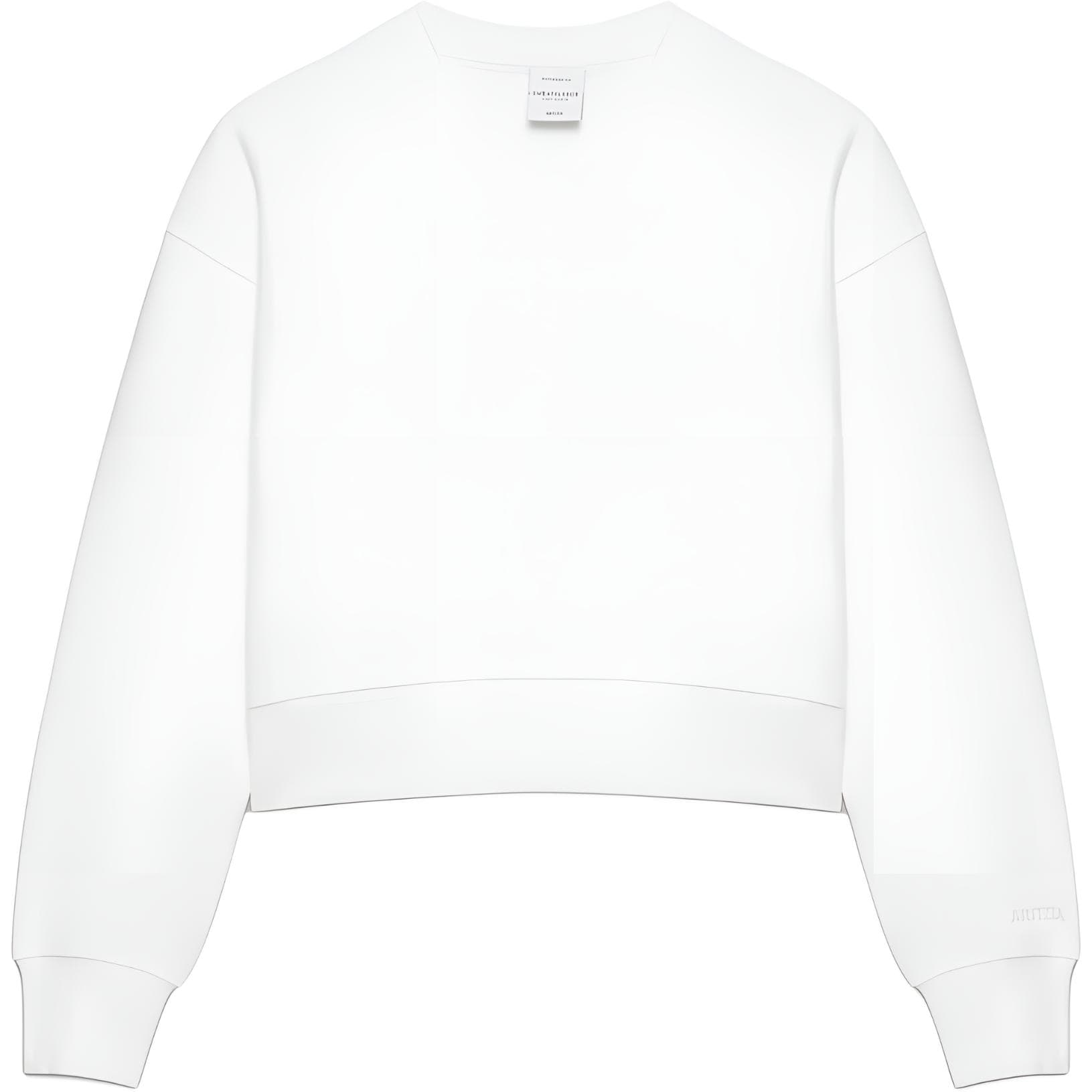 Кофта ARITZIA Уютный флисовый свитшот свободного кроя с V-образным вырезом Женский - изображение 1