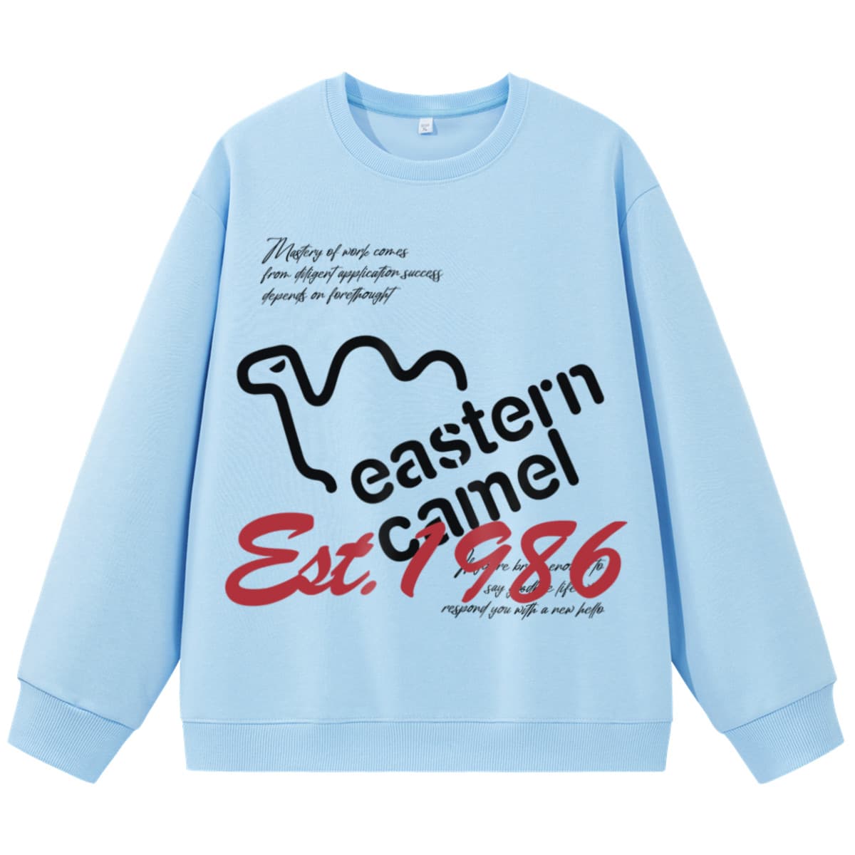 Худи EASTERN CAMEL Светло-синий Унисекс Толстовки - изображение 1