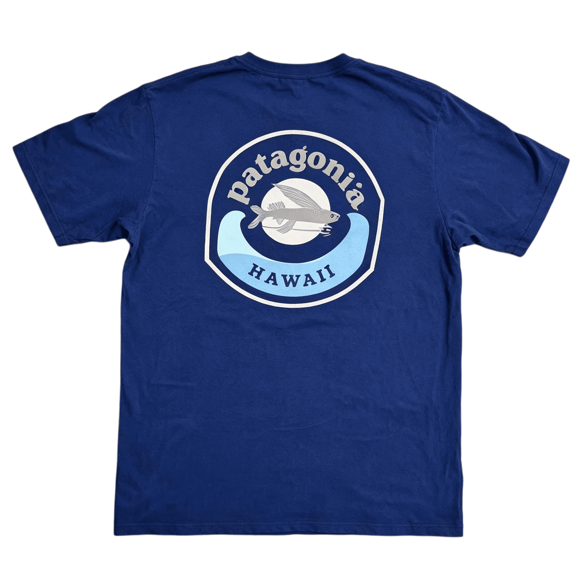Футболка Patagonia Гавайи Flying Рыба Футболка Мужской - изображение 4